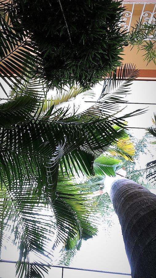 Hotel Tierra Del Sol Oaxaca 外观 照片